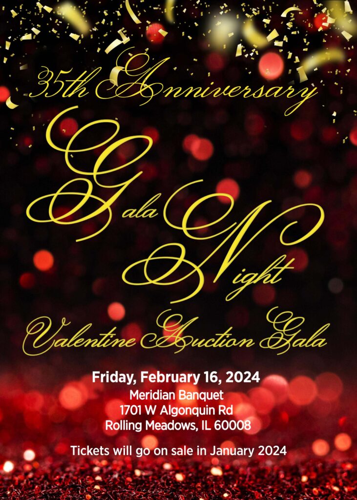 35th Anniversary Valentine Auction Gala night
