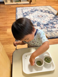MANH Toddler Program
